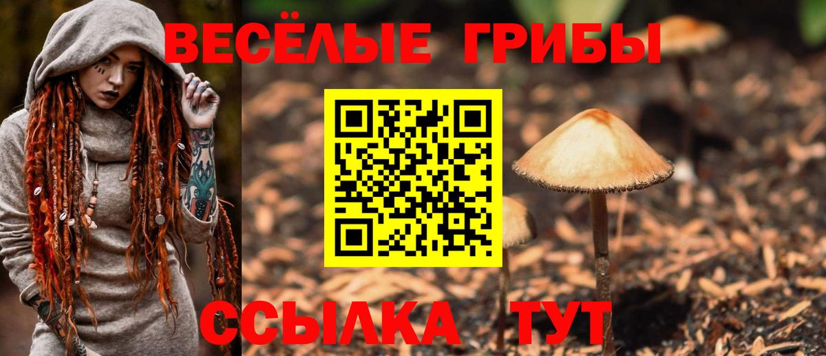 Галлюциногенные грибы Psilocybine cubensis Артёмовский
